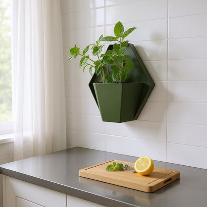 Geometrischer Wandpflanzer "Hexagon"