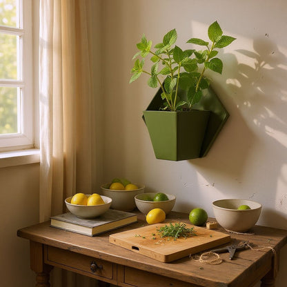 Geometrischer Wandpflanzer "Hexagon"