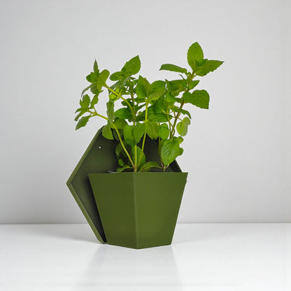 Geometrischer Wandpflanzer "Hexagon"